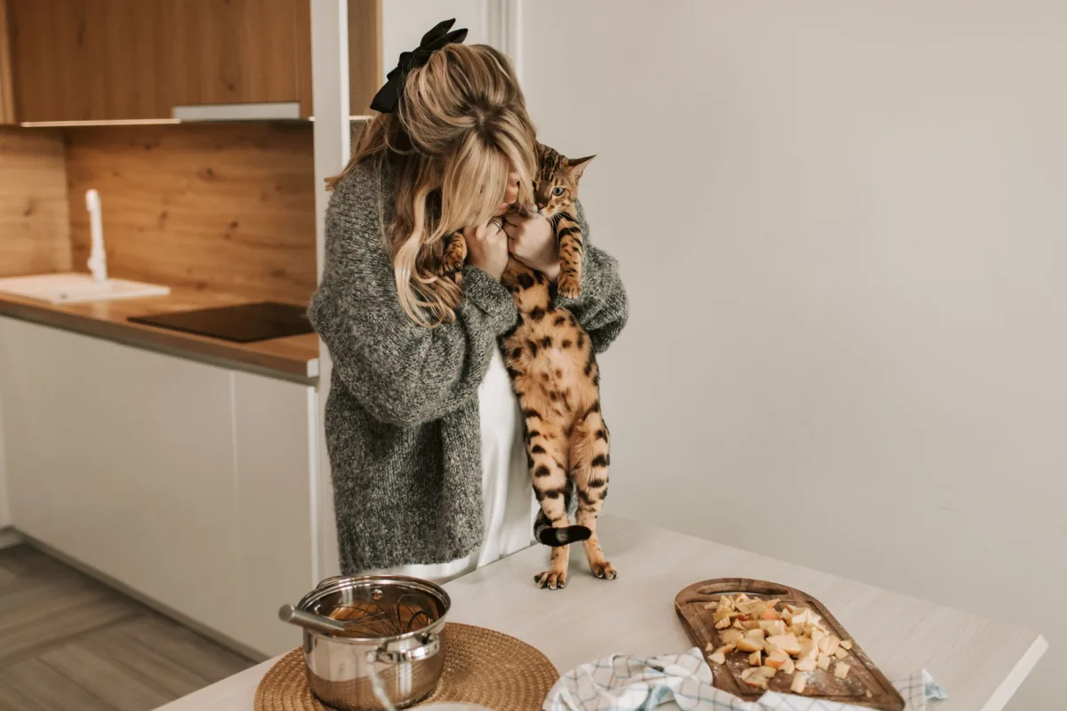 Mutfakta duran kedi — tofu kedi kumu avantajları ve dezavantajları